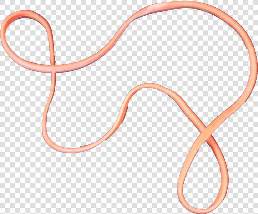 Elastic Band Png   Slender Blind Snake  Transparent PngTransparent PNG