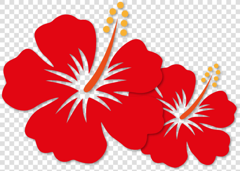 Transparent Bunga Png   Cartoon Hibiscus Png  Png DownloadTransparent PNG