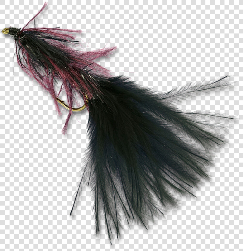 Zack S Stillwater Swimming Leech   Earrings  HD Png DownloadTransparent PNG