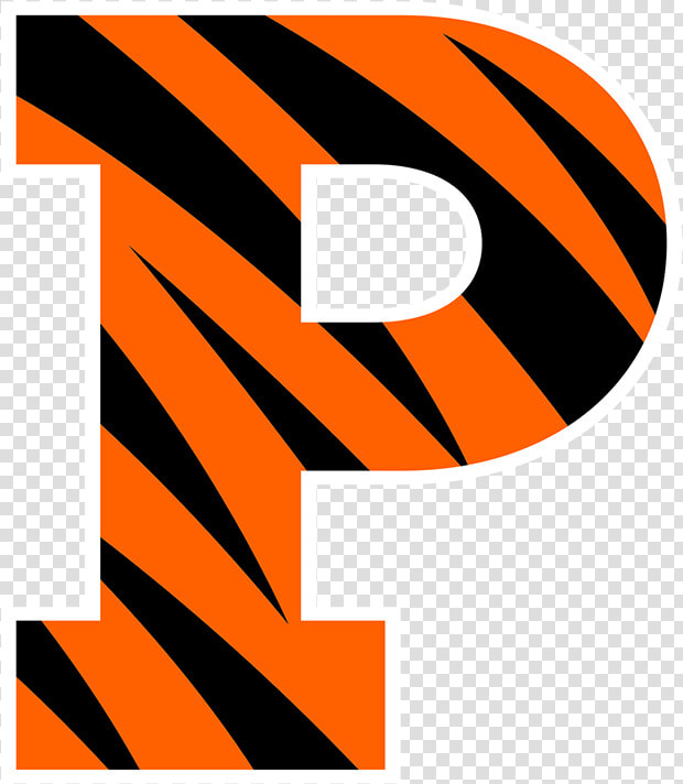 Princeton University Athletics Logo  HD Png DownloadTransparent PNG