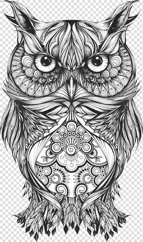 Body Owl Sketch Art Tattoo Drawing Clipart   Owl Drawing Tattoo  HD Png DownloadTransparent PNG