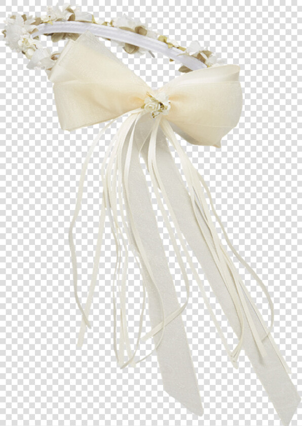 Cnidaria  HD Png DownloadTransparent PNG