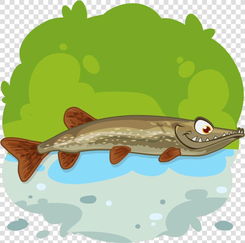 Sardina Animada Png  Transparent PngTransparent PNG