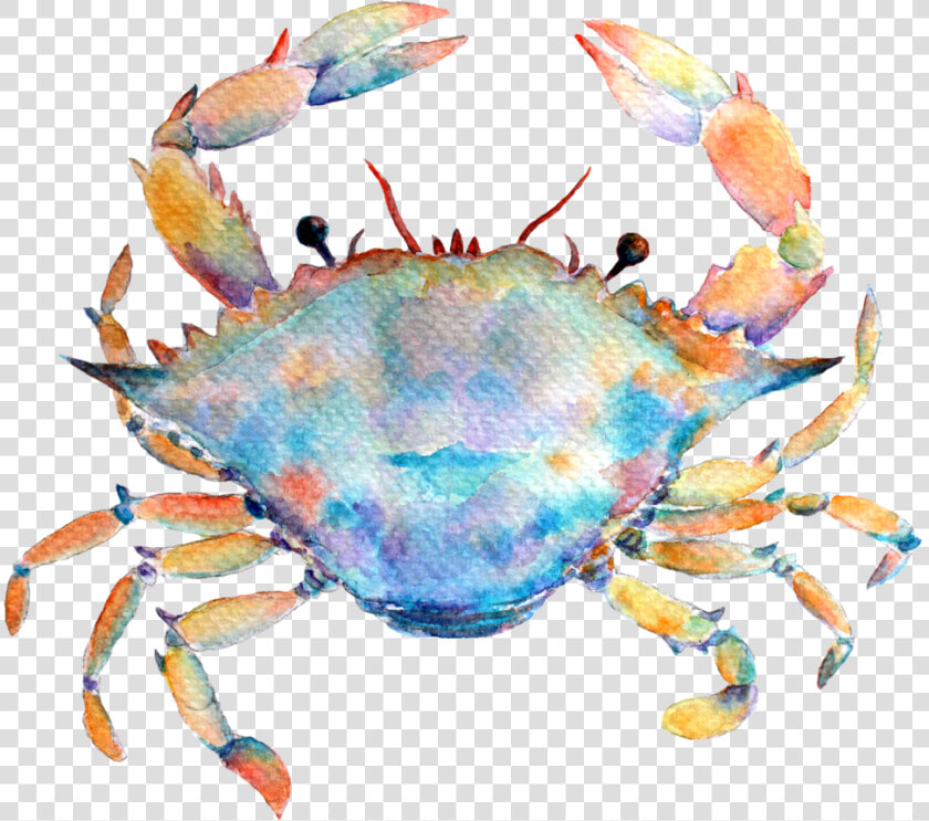 7 1   Watercolor Horoscope Cancer Png  Transparent PngTransparent PNG