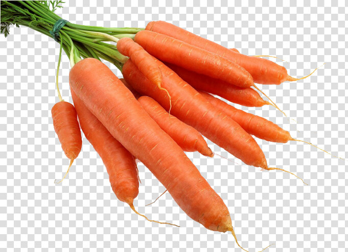 Carrot Radish Gratis   Carrots Transparent  HD Png DownloadTransparent PNG