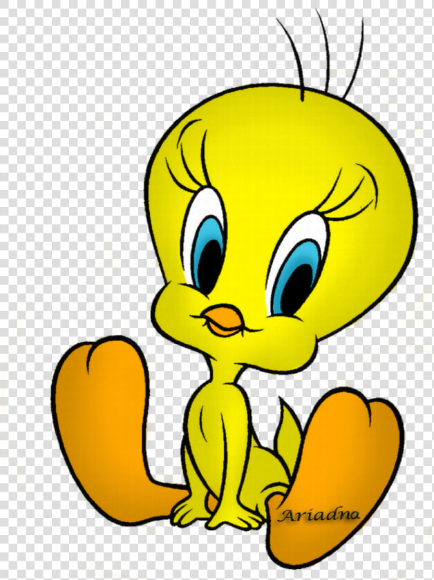Looney Tunes Tweety Bird   Tweety Bird Coloring Pages  HD Png DownloadTransparent PNG