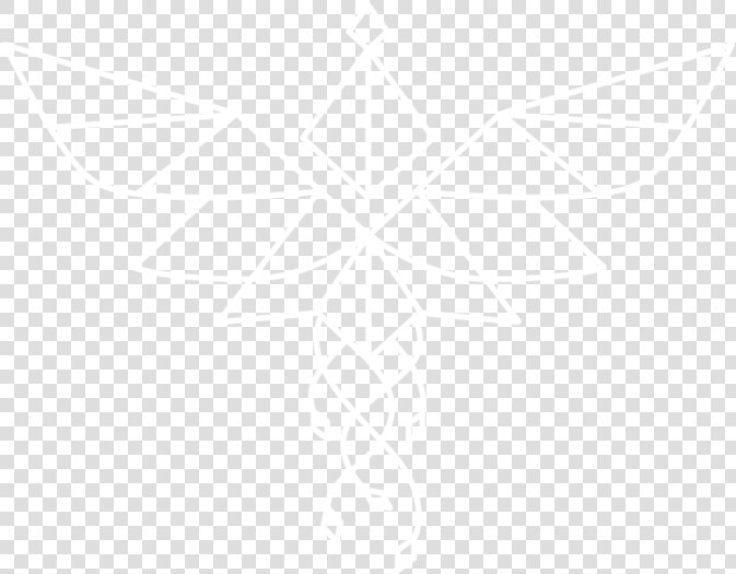 White Phoenix Psychology Logo   Johns Hopkins Logo White  HD Png DownloadTransparent PNG