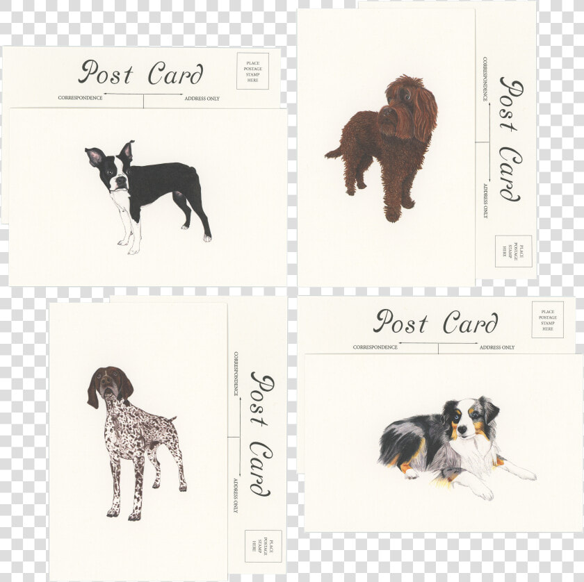 Transparent Postcard Stamp Png  Png DownloadTransparent PNG