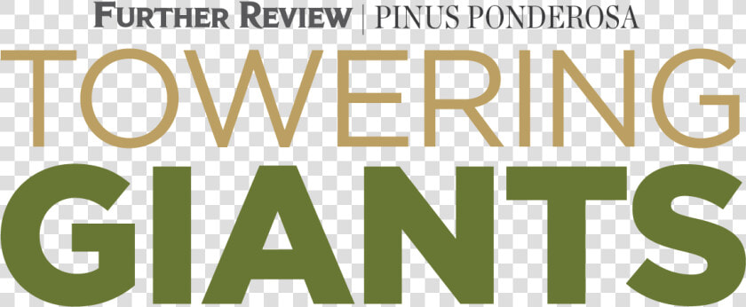 Towering Giants   Spokesman review  HD Png DownloadTransparent PNG