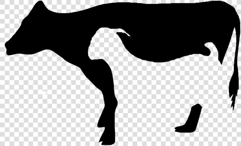 Cattle Clipart Qurbani   Sapi Dan Kambing Png  Transparent PngTransparent PNG