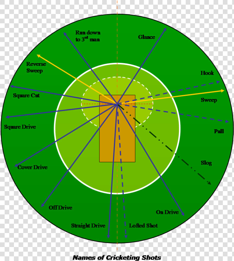 File   Cricketshotsmswd   Cricket Shot Selection Chart  HD Png DownloadTransparent PNG