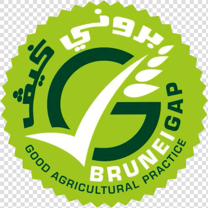 Brunei Gap Logo   Linked Learning Gold Certification  HD Png DownloadTransparent PNG