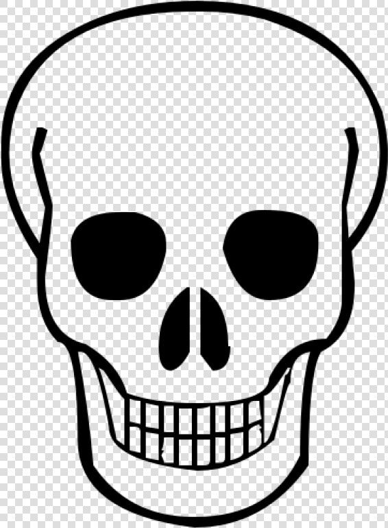 Skeleton  Skull Png Image   Skull Clipart Transparent Background  Png DownloadTransparent PNG