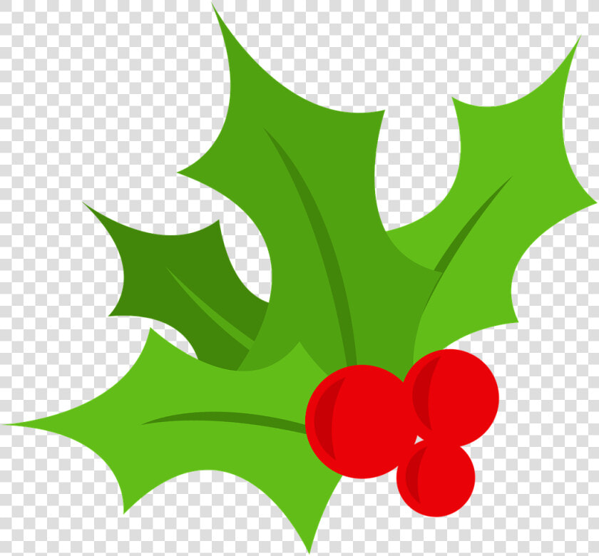 Holly Christmas Tree Berry Free Picture   Holly Leaf Transparent Background  HD Png DownloadTransparent PNG