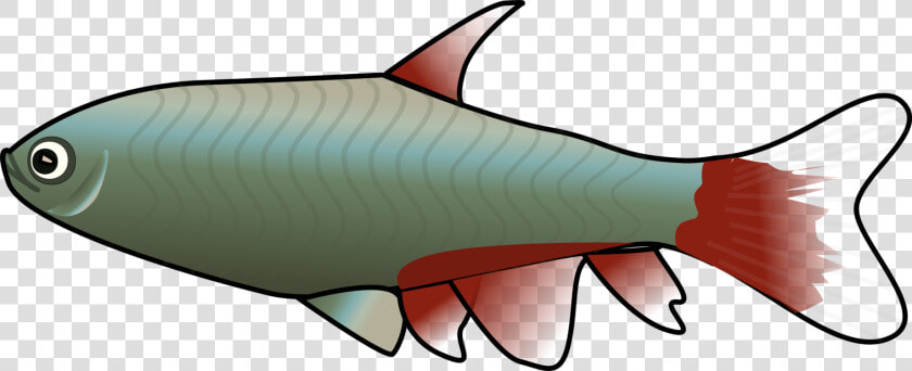 Goldfish Computer Icons Document Tropical Fish   Tetra Clipart  HD Png DownloadTransparent PNG