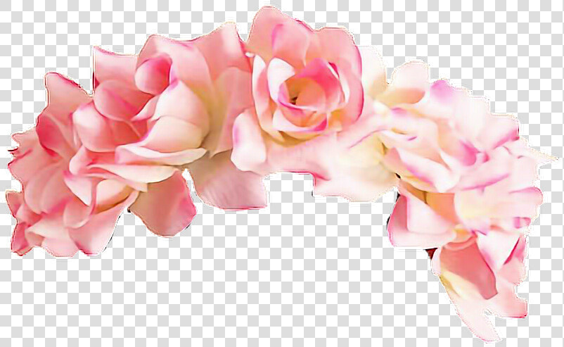  roses  corona  corona De Rosas   Pink Flower Crown Png  Transparent PngTransparent PNG