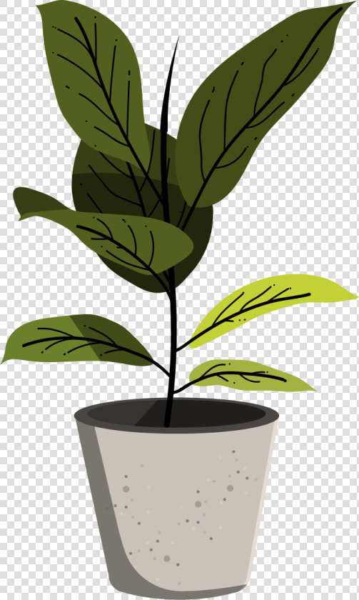 Adobe Illustrator Plants  HD Png DownloadTransparent PNG