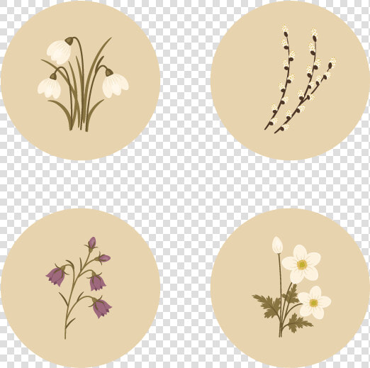 Adobe Illustrator  HD Png DownloadTransparent PNG