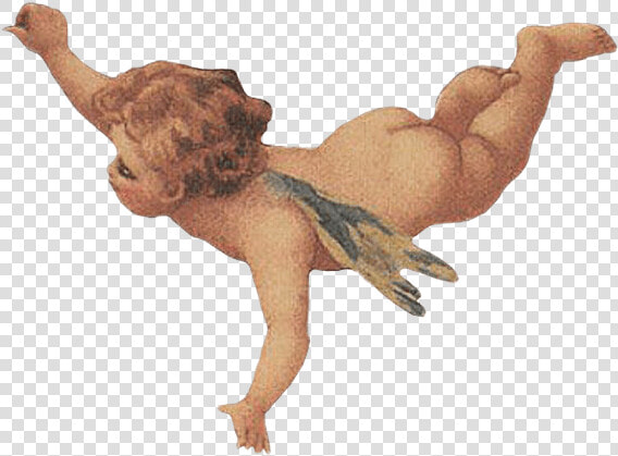  angel  angels  aesthetic   Aesthetic Baby Angels Png  Transparent PngTransparent PNG