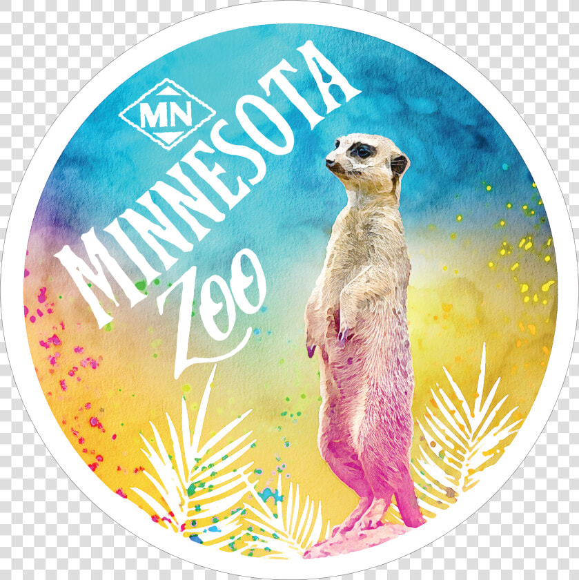 Meerkat Class Lazyload Lazyload Mirage Primary  HD Png DownloadTransparent PNG