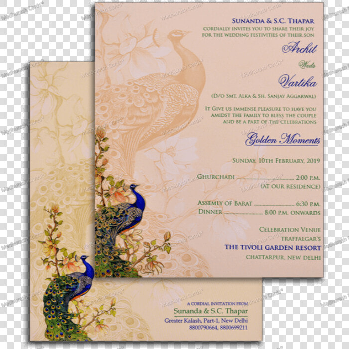 Peafowl  HD Png DownloadTransparent PNG