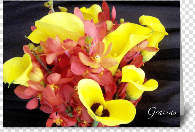 Gracias thank You Greeting Card   Bouquet  HD Png DownloadTransparent PNG