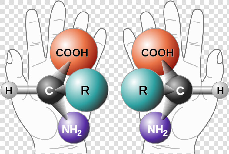 Chirality  HD Png DownloadTransparent PNG