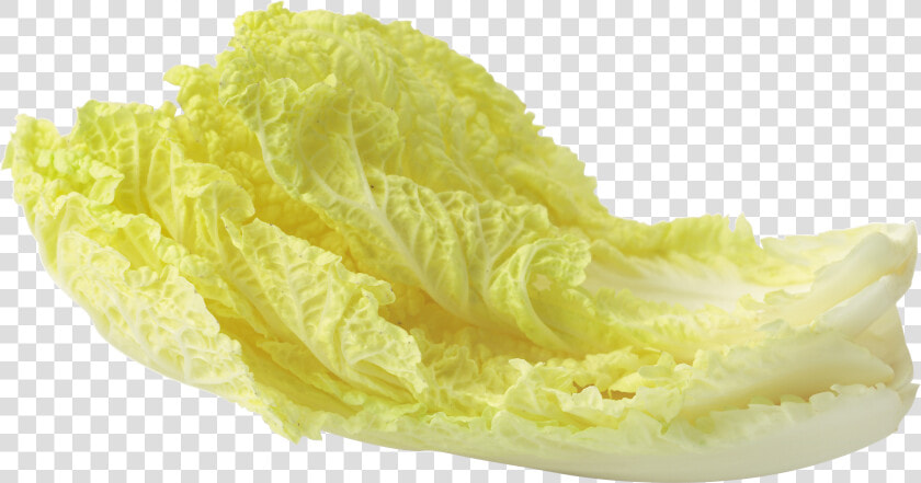 Download And Use Salad Png Image Without Background  Transparent PngTransparent PNG