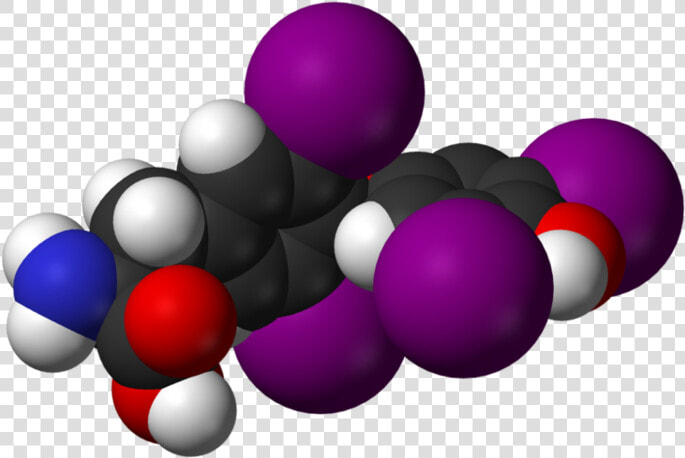 Pfizer S Levoxyl Drug Will Be Back On The Shelves Following   Hormona Png  Transparent PngTransparent PNG