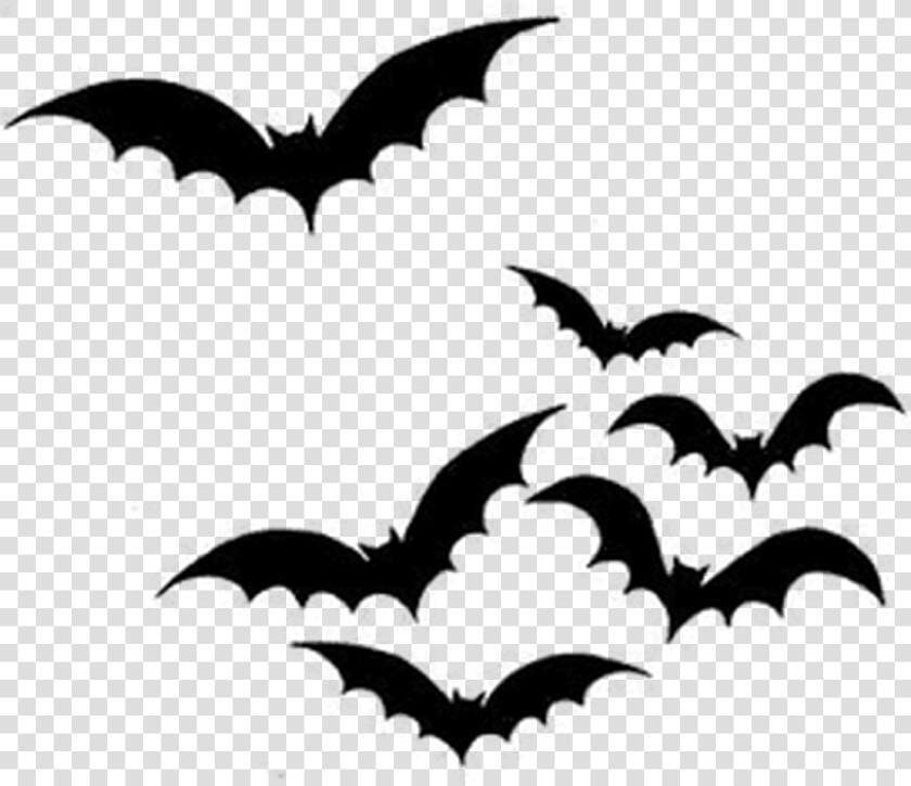 Clear Stamp  Bats   Bat Silhouette Halloween Decor  HD Png DownloadTransparent PNG