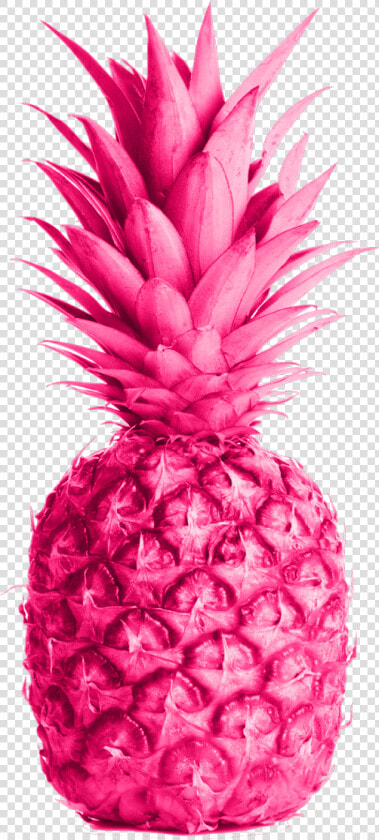 Transparent Pink Pineapple Png   Maui Sun Salt Nic  Png DownloadTransparent PNG