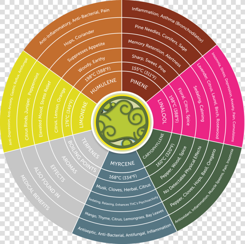 Picture   Cannabis Terpene Chart  HD Png DownloadTransparent PNG
