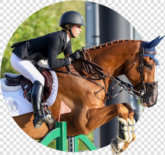 Kirsten Ostling Testimonial   Stallion  HD Png DownloadTransparent PNG