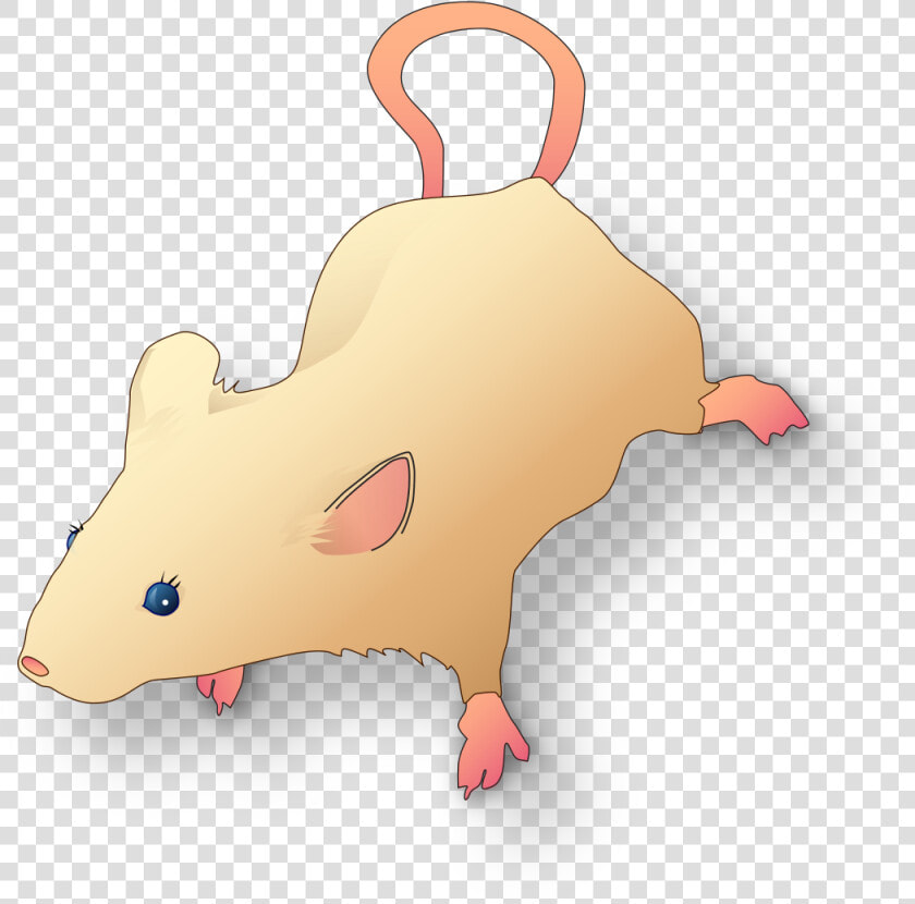 Vectorized Lab Mouse Mg 3263 For Scientific Figures   Scientific Mouse  HD Png DownloadTransparent PNG