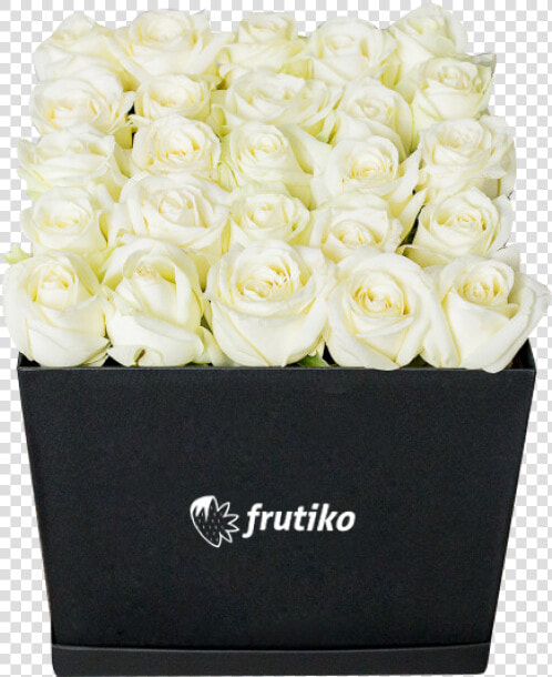 Black Box Of White Roses   Garden Roses  HD Png DownloadTransparent PNG