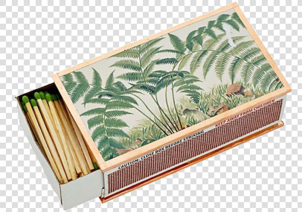 Image   Aesthetic Matches  HD Png DownloadTransparent PNG