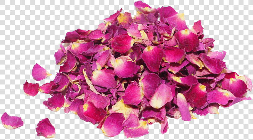 Dried Damask Rose Petals  HD Png DownloadTransparent PNG