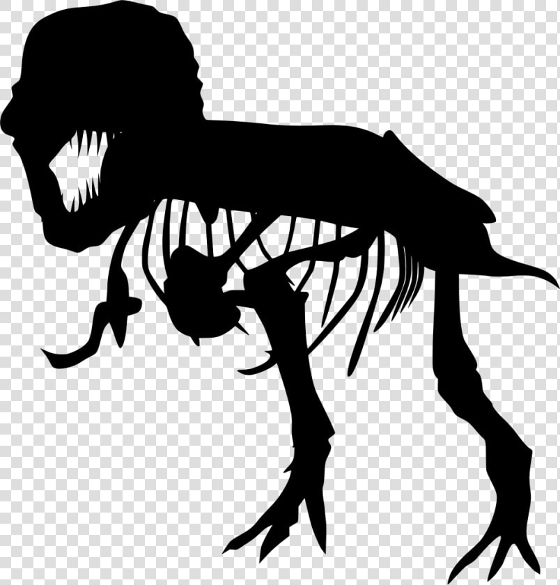 Tiranossauro Rex Carnivoro  HD Png DownloadTransparent PNG