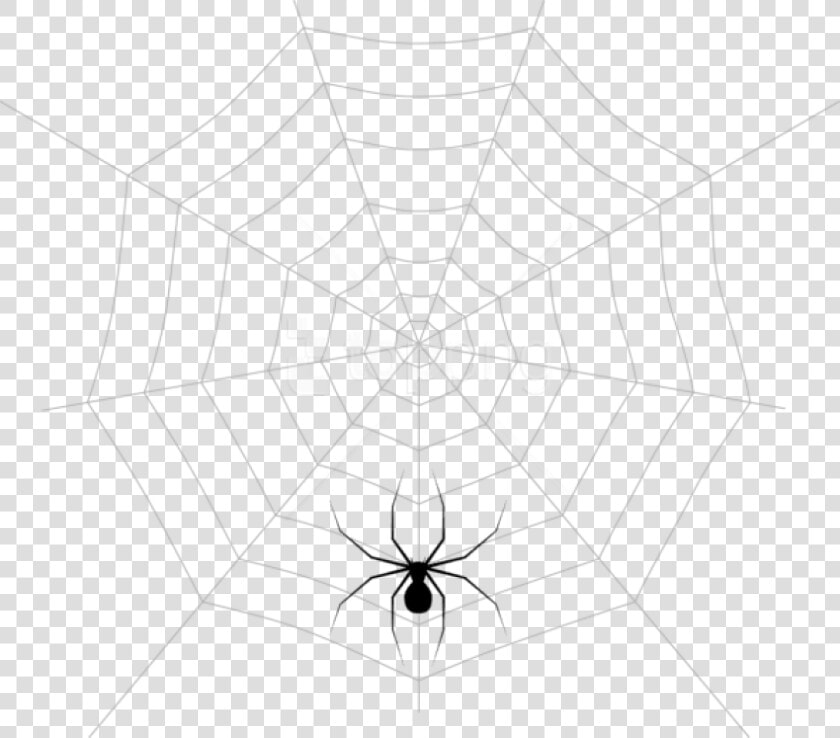 Free Png Web And Spider Png Images Transparent   Spider Web  Png DownloadTransparent PNG