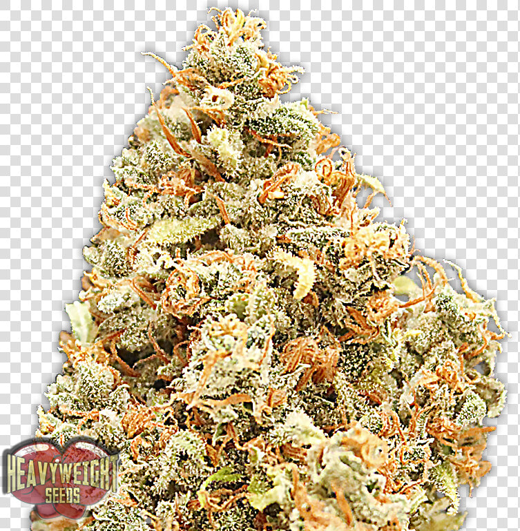 Transparent Amnesia Monster Png   Monster Profit Heavyweight Seeds  Png DownloadTransparent PNG
