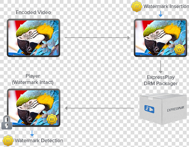 Watermark Drm  HD Png DownloadTransparent PNG