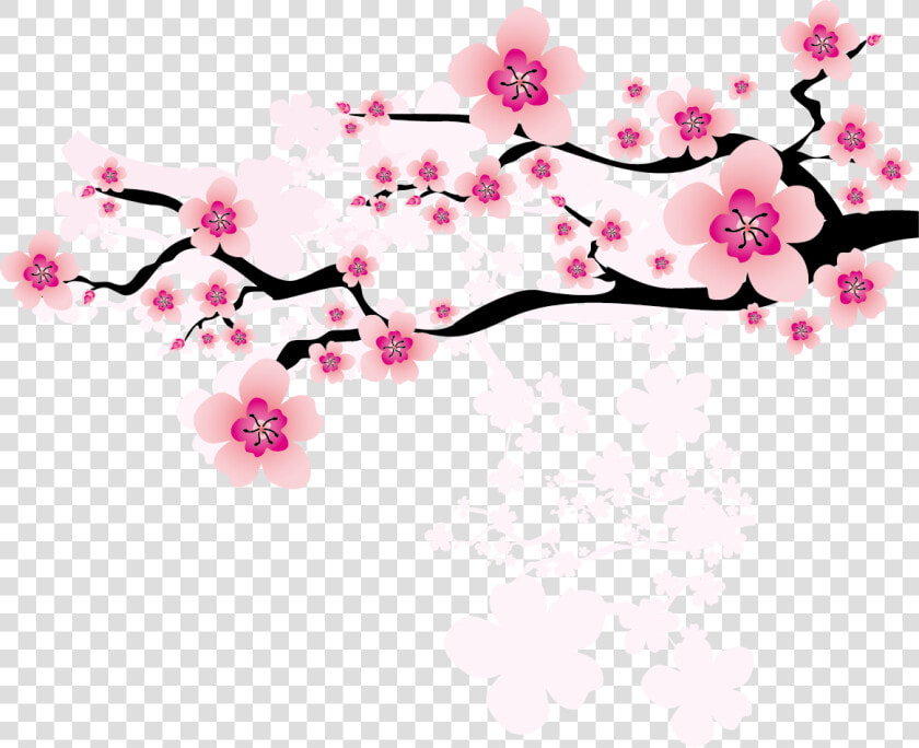 Ume Blossom Clipart Apricot Blossom   Apricot Blossom Vector Png  Transparent PngTransparent PNG