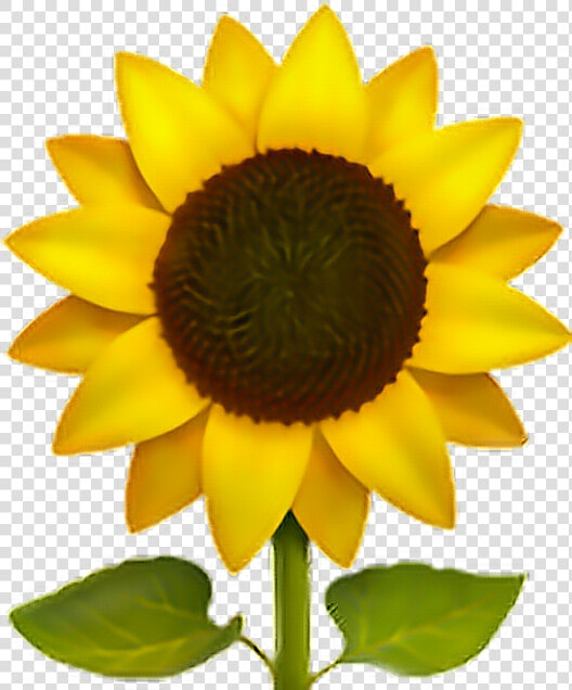 Sunflower Emoji Flower Sun Freeedit Iphone Cute   Emoji Sunflower  HD Png DownloadTransparent PNG