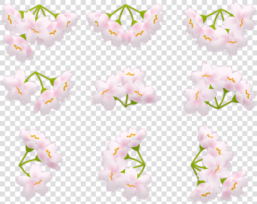Sakura Blossom Pink Cherry Blossom Japan Free Picture   Lily Family  HD Png DownloadTransparent PNG
