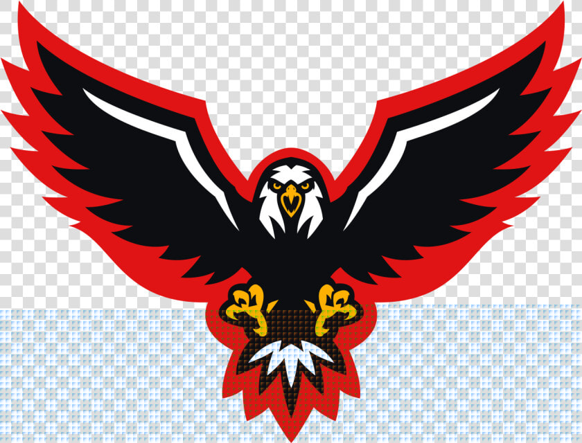 Bald Eagle   Png Download   Bald Eagle  Transparent PngTransparent PNG