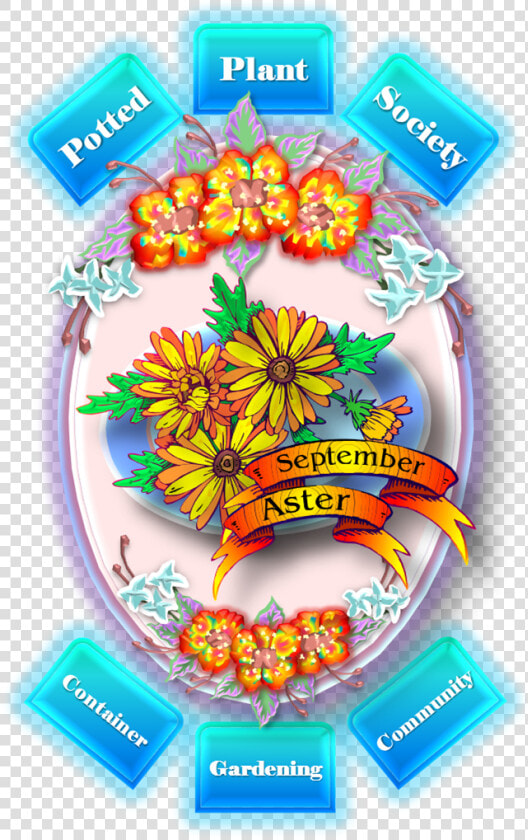 September Aster  HD Png DownloadTransparent PNG
