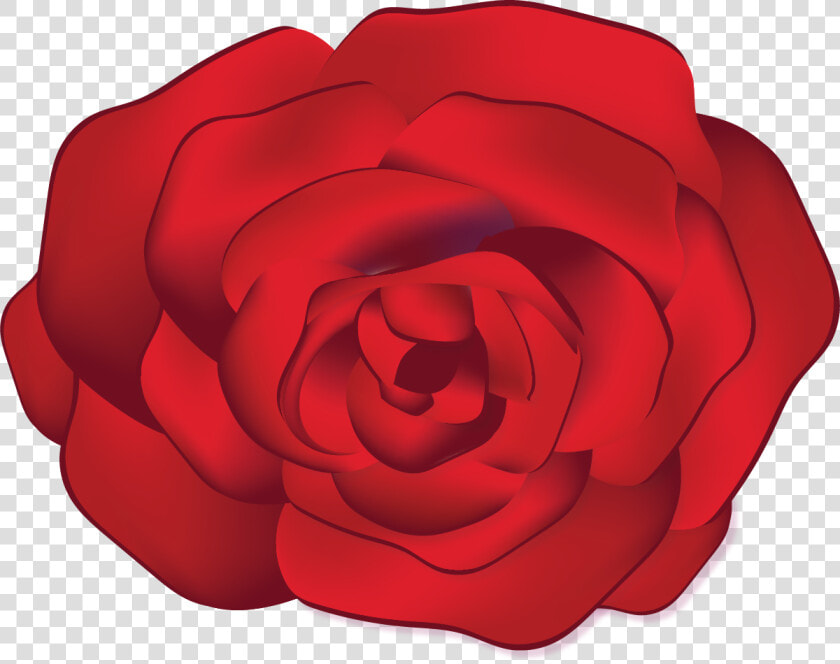 Japanese Camellia  HD Png DownloadTransparent PNG