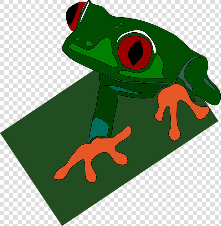 Green  Frog  Red  Eye  Feet  Eyed  Sticky  Eyes   Green Dart Frog Clipart  HD Png DownloadTransparent PNG