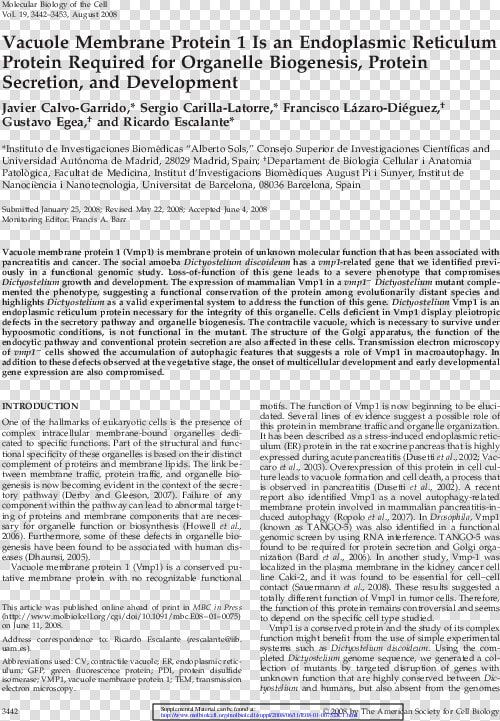 Document  HD Png DownloadTransparent PNG