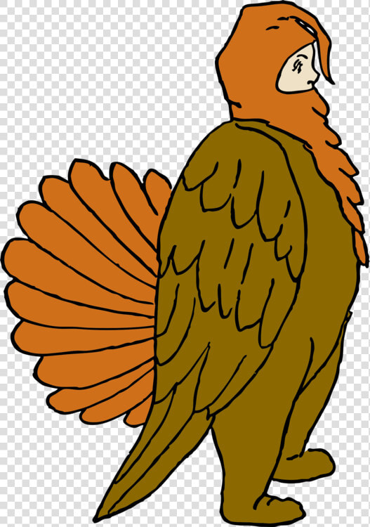 Transparent Turkey Cartoon Png   Pavo De Disfraces  Png DownloadTransparent PNG